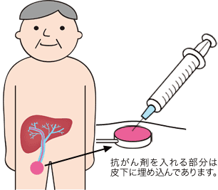 �̓������w�Ö@